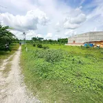 Đất phường Gò Dầu 5x27m full thổ cư 470tr, sổ hồng riêng đường ô tô thông - Ảnh thu nhỏ 4