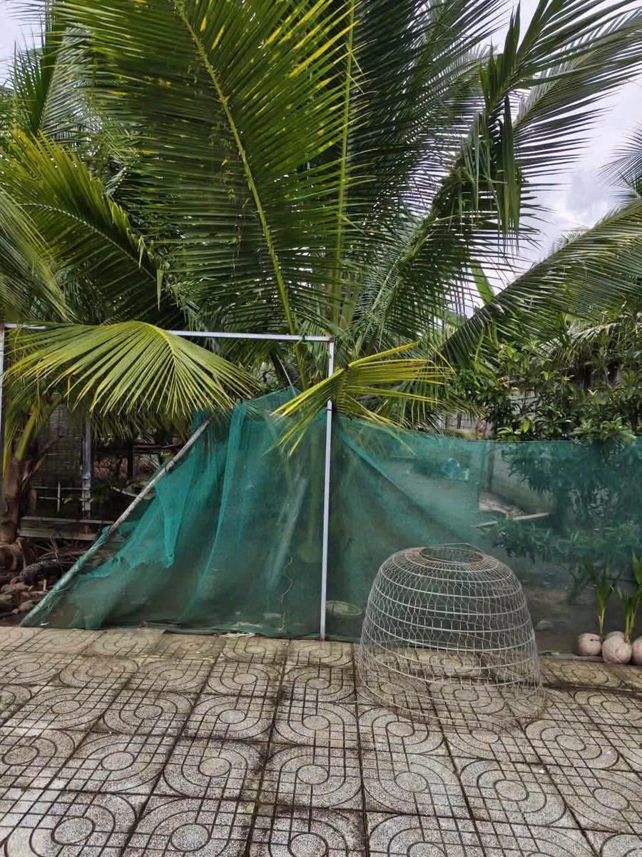 Bán đất vườn 4.500m² Xã Phước Thạnh, Bình Dương 5 tỷ - Ảnh thu nhỏ 4