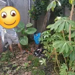 Bán thổ cư nền 70m2 mặt tiền kênh chợ 520 triệu - Ảnh thu nhỏ 3
