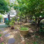 Bán nhà vườn 252m2 giá 2.3 tỷ Đồng Xoài - Ảnh thu nhỏ 4