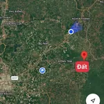 Bán đất 1ha mặt tiền 40m Đồng Tâm Bình Phước - Ảnh thu nhỏ 5