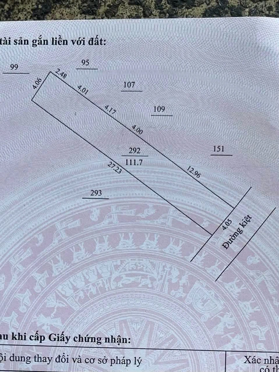 Bán 2 lô đất liền kề 108-111m2 Trần Đình Tri, Tân Bình - Ảnh thu nhỏ 3
