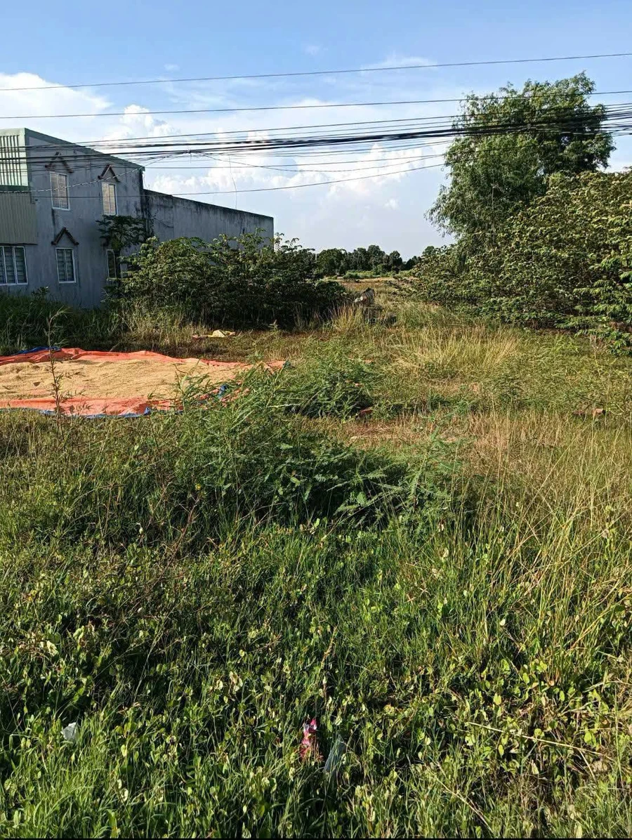 Bán đất mặt tiền quốc lộ 62, Long An, 400m², 2 tỷ - Ảnh thu nhỏ 2