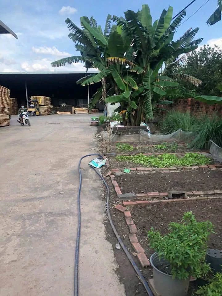 Bán nhà xưởng 8000m2 An Viễn Trảng Bom, 35 tỷ - Ảnh thu nhỏ 3