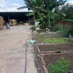 Bán nhà xưởng 8000m2 An Viễn Trảng Bom, 35 tỷ - Ảnh thu nhỏ 3
