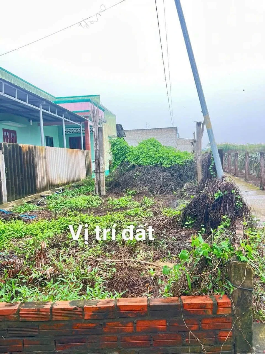 Bán lô đất An Lục Long 160m², 250 triệu, Nhà Bè - Ảnh thu nhỏ 3