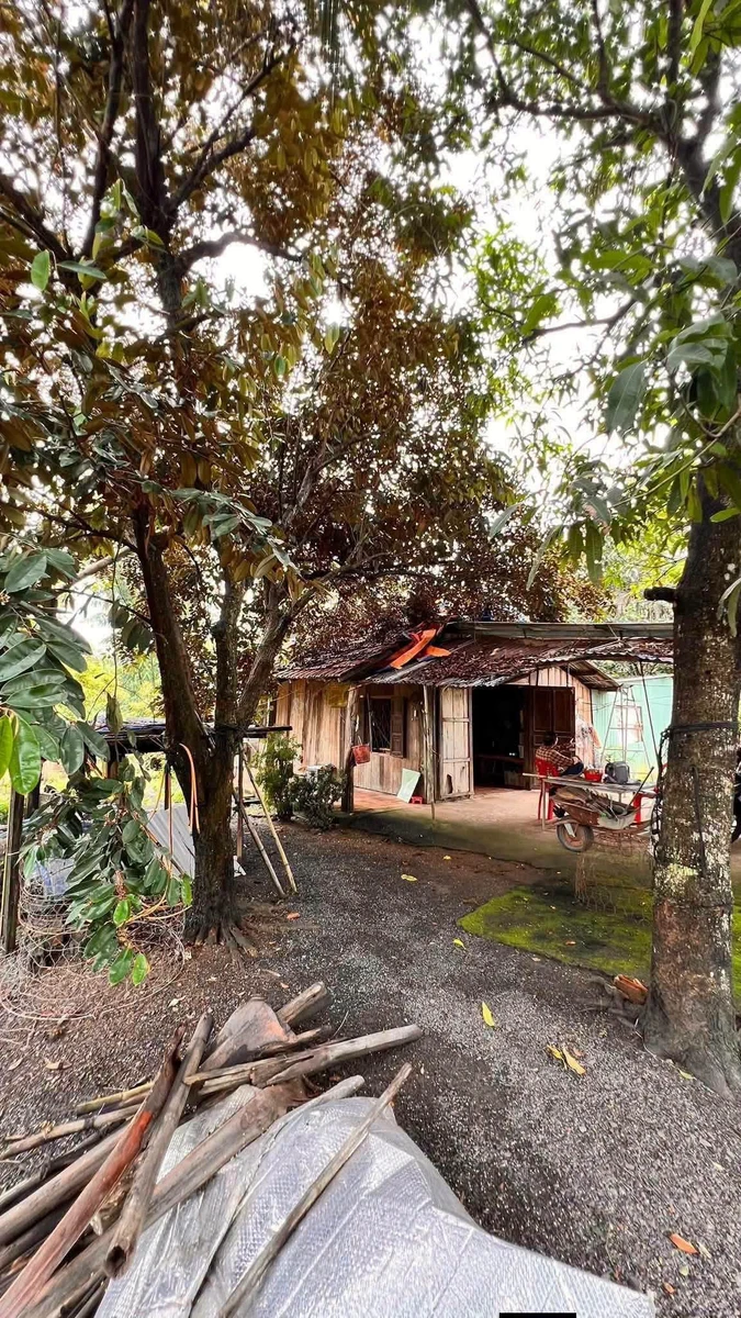 Bán đất vườn cây ăn trái 1.738m² Đồng Nai 380 triệu - Ảnh thu nhỏ 2