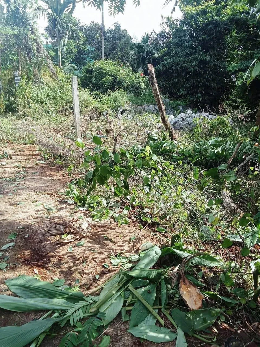 Bán đất thổ cư 10x33m hẻm Mậu Thân, gần chợ đầu mối, Phường Tân An, giá 1,85 tỷ - Ảnh thu nhỏ 2