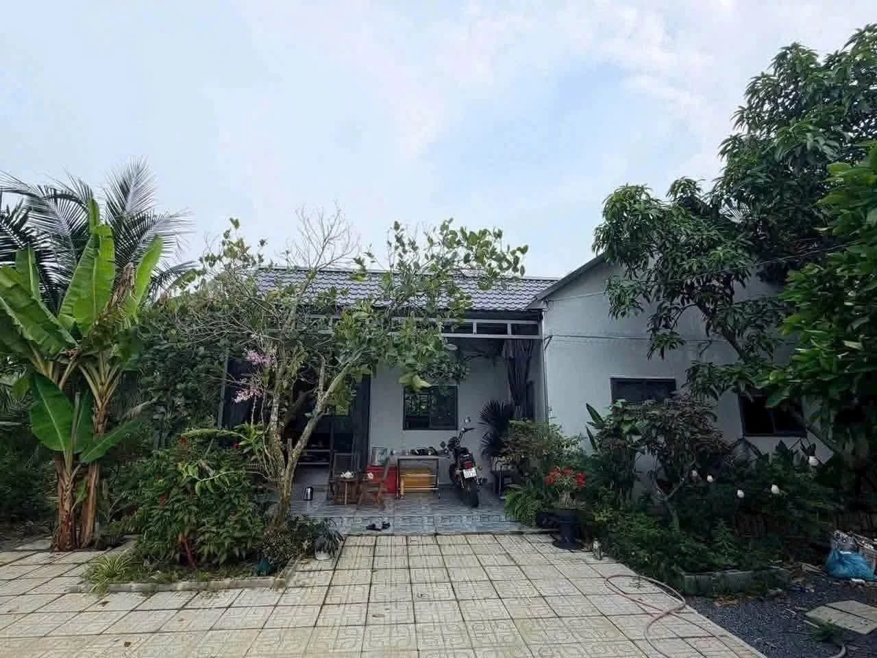 Bán nhà vườn Long An 900m² 2PN 1 tỷ 550 triệu - Ảnh 1