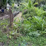 Bán đất 500m2 mặt tiền Huyện Lộ 26 Tân Trung, Bà Rịa - Vũng Tàu - Ảnh thu nhỏ 3