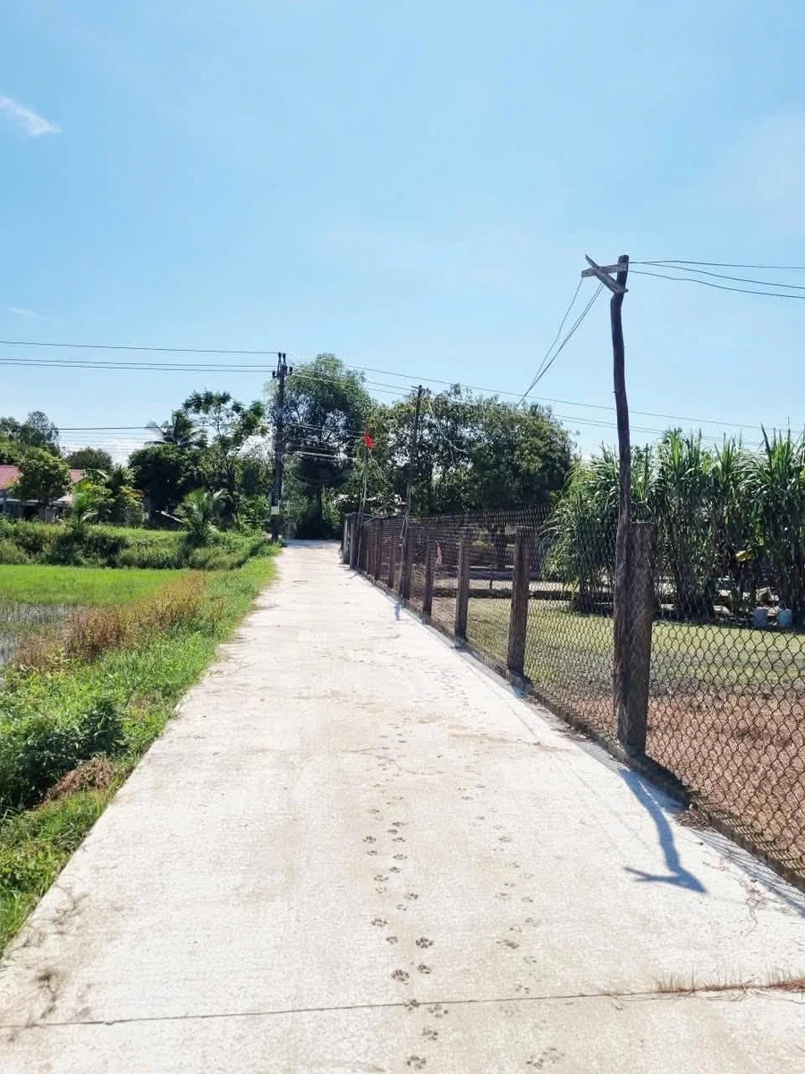 Bán đất Phú Vang Huế 100m² sổ đỏ 500 triệu - Ảnh thu nhỏ 2