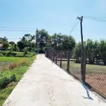 Bán đất Phú Vang Huế 100m² sổ đỏ 500 triệu - Ảnh thu nhỏ 2