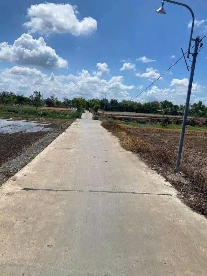 Bán 2000m² đất lúa 3 mặt tiền Phước Đông, Cần Dước - Ảnh thu nhỏ 2