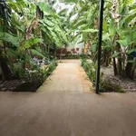 Bán nhà vườn 170m² giá 1,1 tỷ Vĩnh Lộc A Bình Chánh - Ảnh thu nhỏ 1