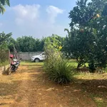 Bán 365m² đất trồng bưởi Tân Lạc Hòa Bình 199 triệu - Ảnh thu nhỏ 2