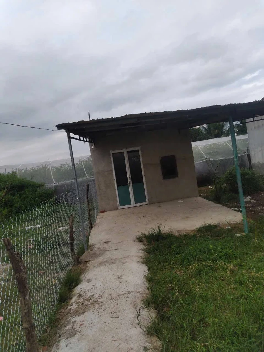 Bán đất thổ cư 122m2 mặt tiền Phước Thuận, Khánh Hòa - Ảnh thu nhỏ 3