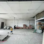 Cho thuê kho xưởng 600m² Tân Đông Hiệp Dĩ An - Ảnh thu nhỏ 4