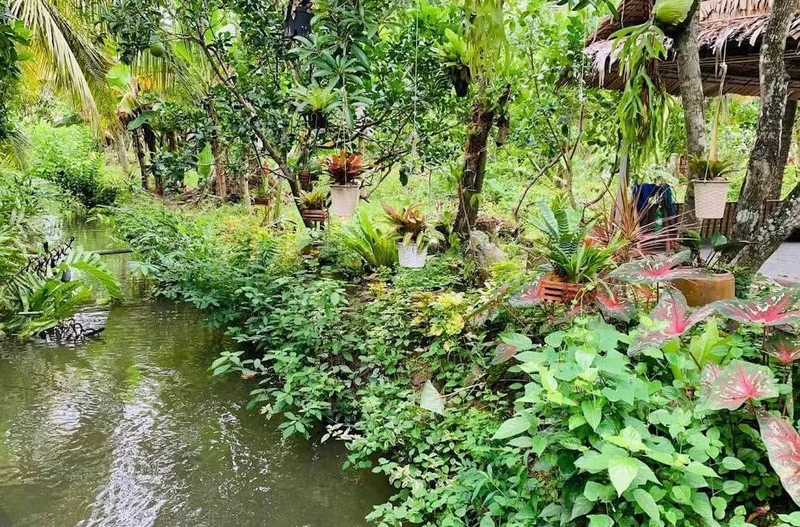 Bán đất nền 1.000m² gần KCN Minh Hưng, giá 300 triệu