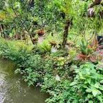 Bán đất nền 1.000m² gần KCN Minh Hưng, giá 300 triệu - Ảnh thu nhỏ 1