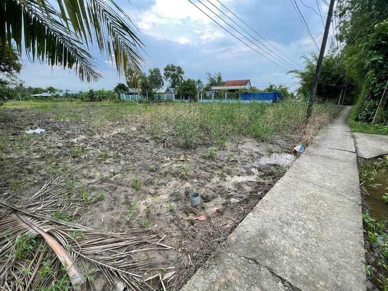 Bán 3 nền đất thổ cư 100m² tại Phước Vân, Cần Đước, Long An