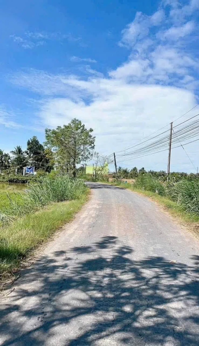 Bán 1100m² đất lúa mặt tiền Phạm Văn Thành, Tân An, Long An - Ảnh thu nhỏ 3