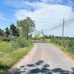 Bán 1100m² đất lúa mặt tiền Phạm Văn Thành, Tân An, Long An - Ảnh thu nhỏ 3