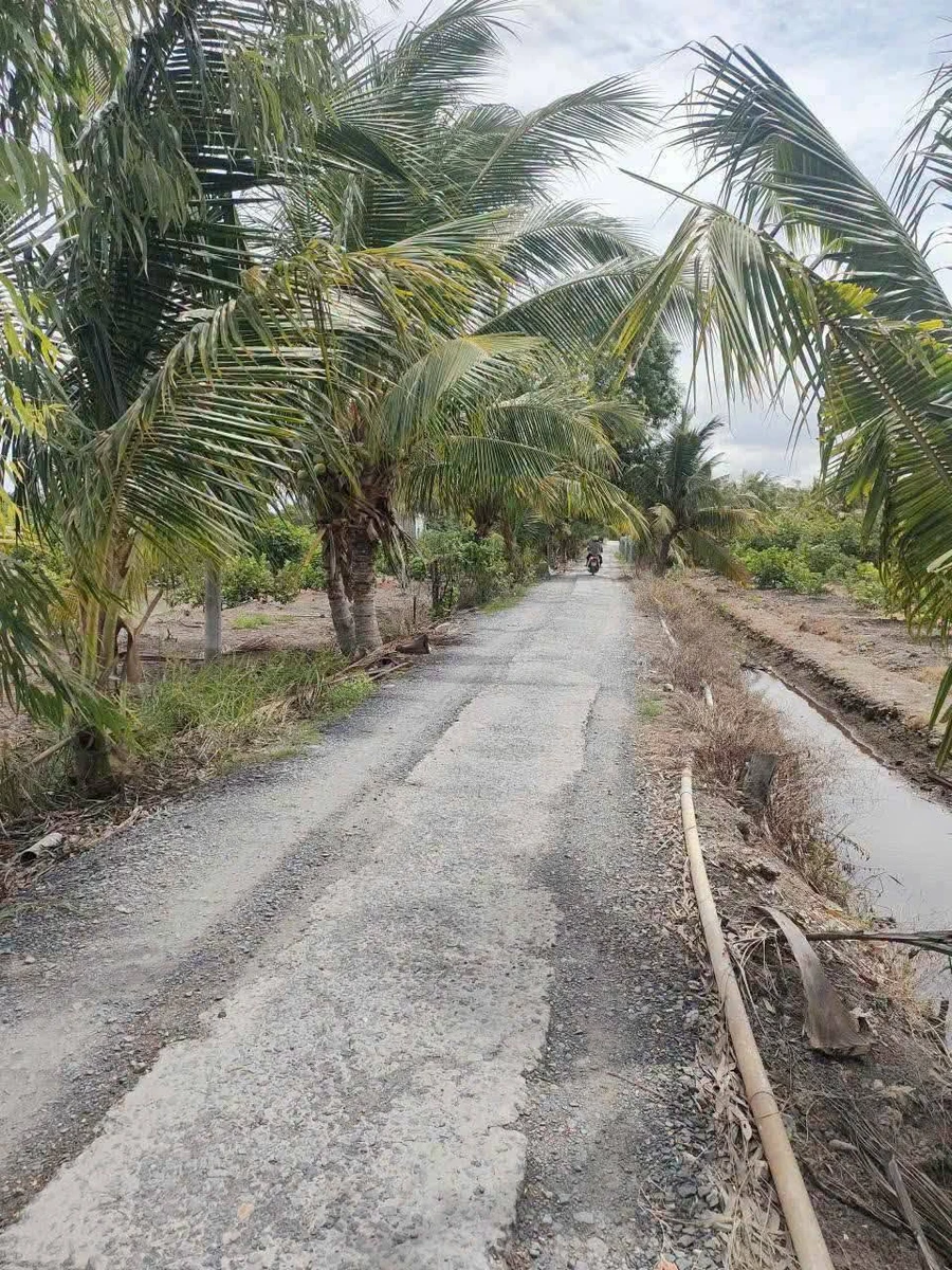 Bán đất nền thổ cư 100m2 giá 600 triệu tại Thạnh Lợi, Tây Ninh - Ảnh thu nhỏ 3