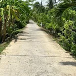 Bán đất vườn dừa 1160m² Phú Tân, Củ Chi - Ảnh thu nhỏ 2