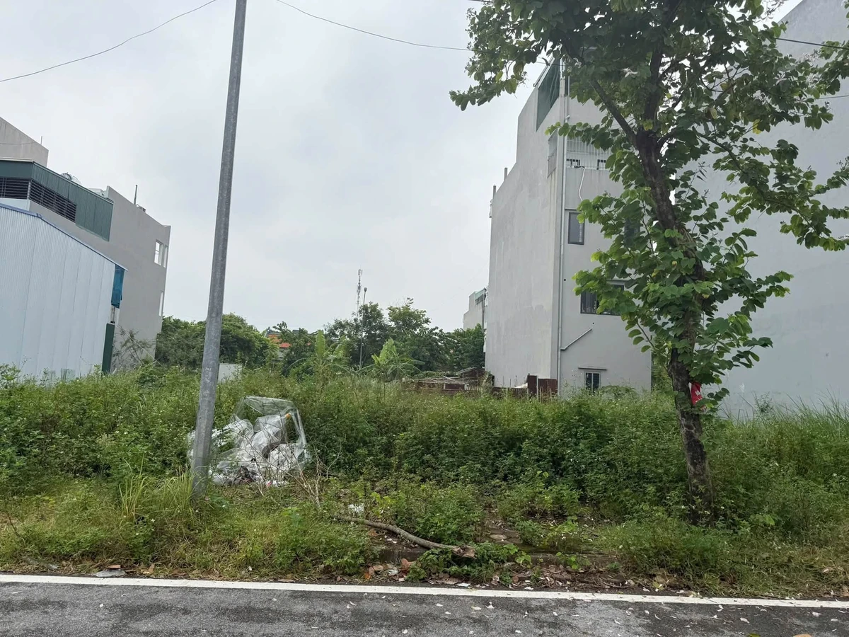 Bán lô đất 86,51m² Khúc Thừa Hạo, Bình Chánh, giá 3 tỷ 2 - Ảnh thu nhỏ 4