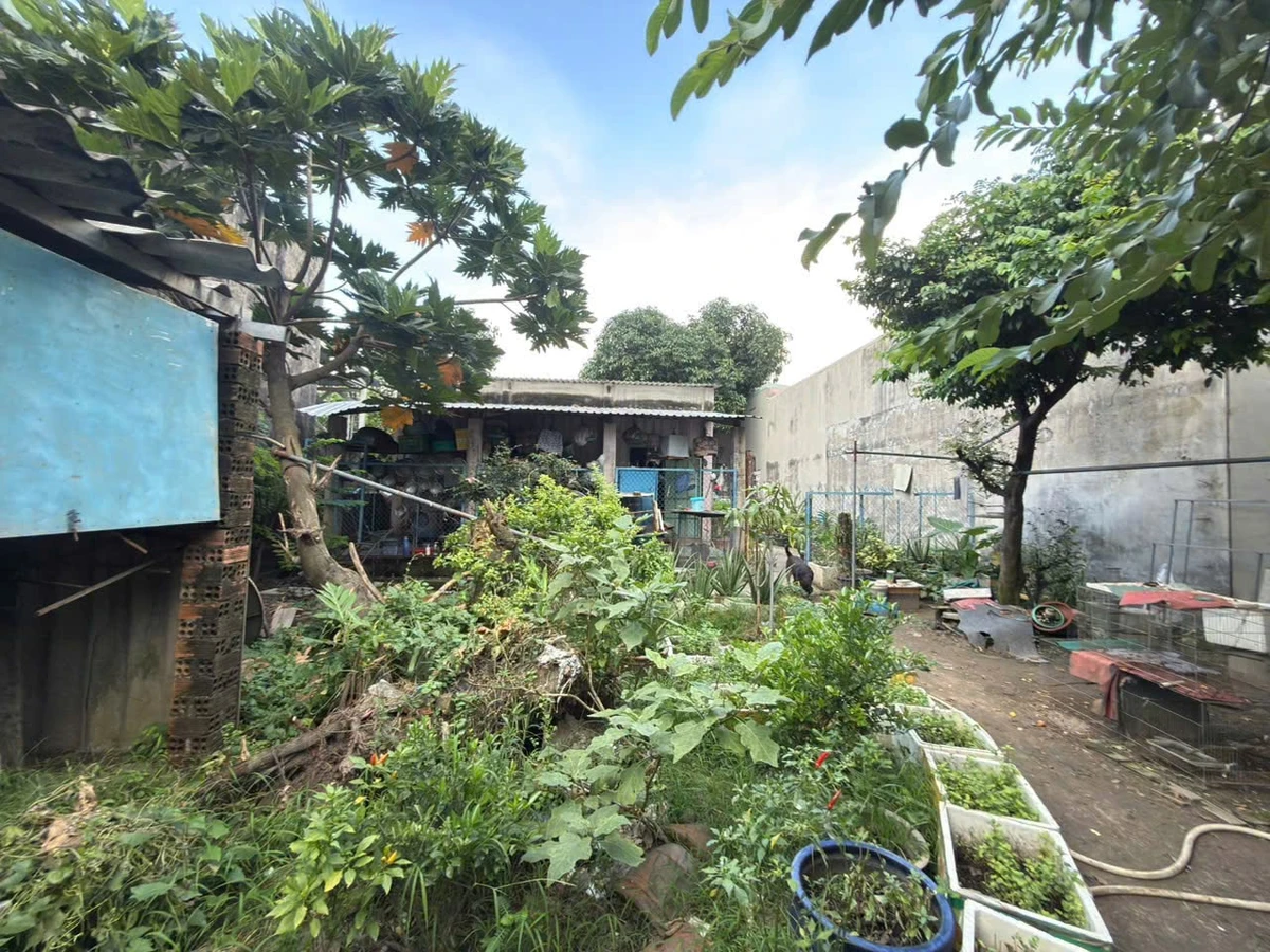 Bán đất 657m² mặt tiền Linh Xuân Thủ Đức, 21 tỷ - Ảnh thu nhỏ 4