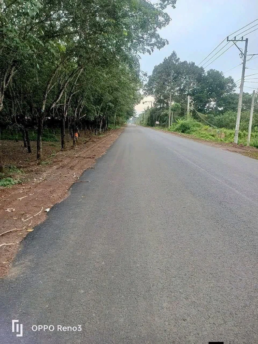 Bán 8 ha đất mặt tiền 87m, đường bê tông 200m, Hóc Môn - Ảnh 1