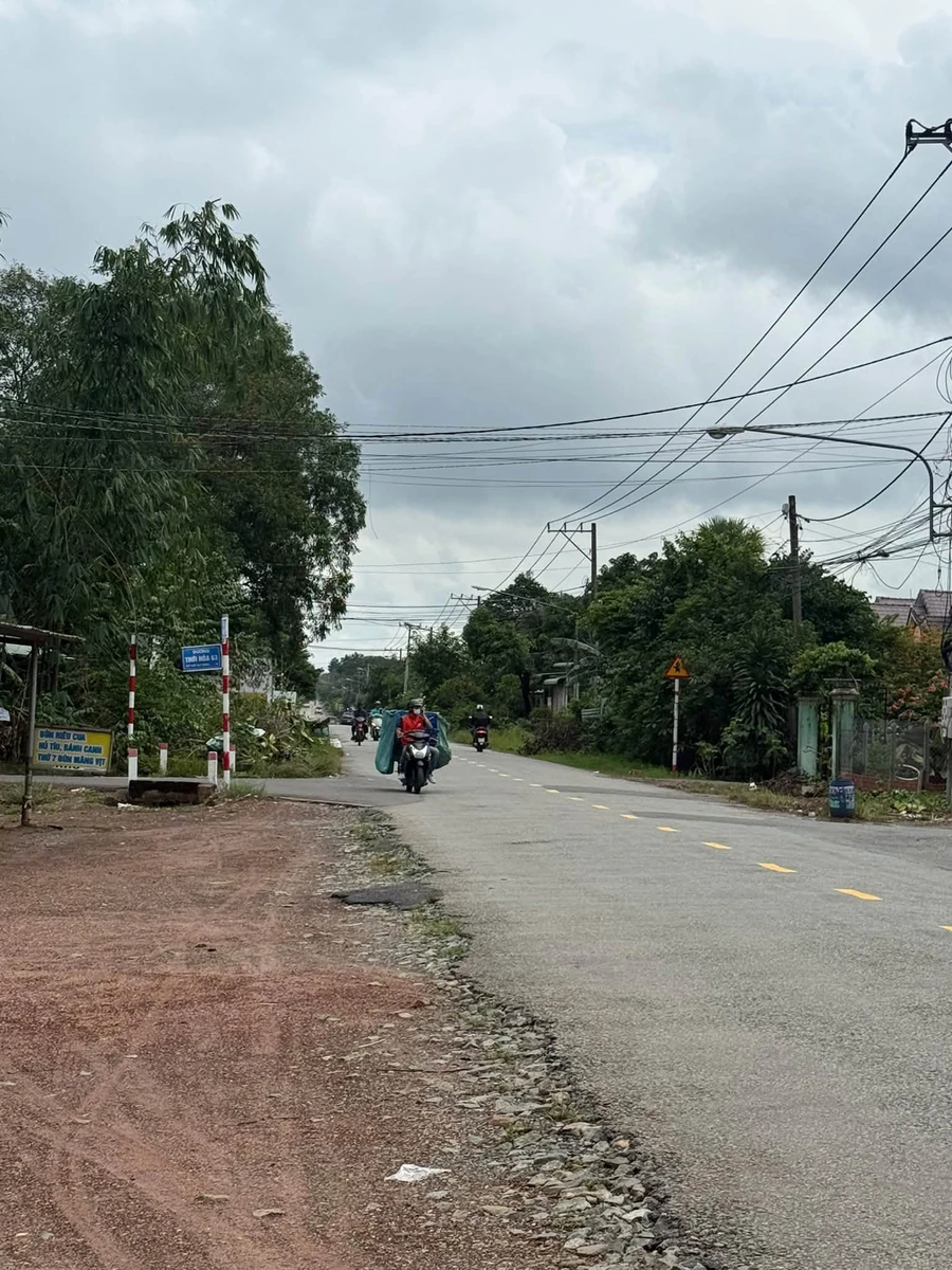 Bán đất Thới Hòa Bến Cát 3000m2 giá 12,5 tỷ - Ảnh thu nhỏ 2