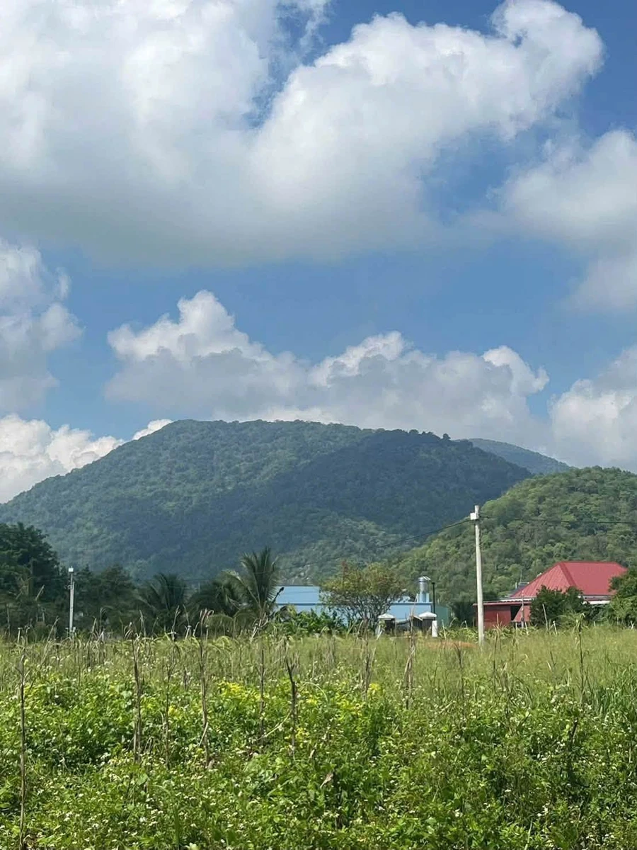 Bán đất thổ cư 400m² view núi Tà Cú, Bình Thuận - Ảnh thu nhỏ 3
