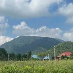 Bán đất thổ cư 400m² view núi Tà Cú, Bình Thuận - Ảnh thu nhỏ 3