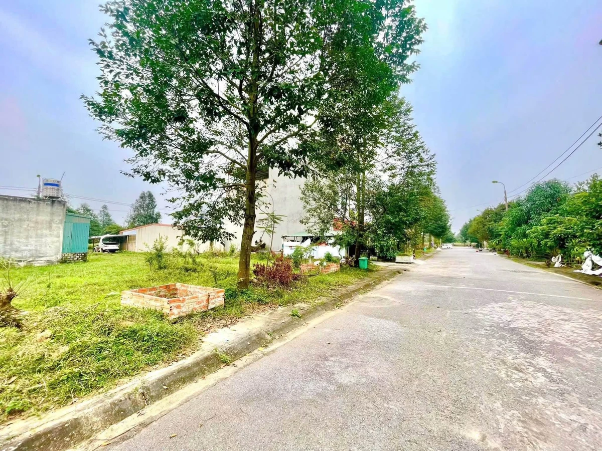 Bán lô đất mặt tiền 81m² Quảng Hưng 1 tỷ 69 - Ảnh thu nhỏ 5