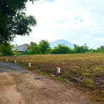 Bán đất 1000m2 (100m2 thổ cư) tại Tây Ninh 560 triệu - Ảnh thu nhỏ 1