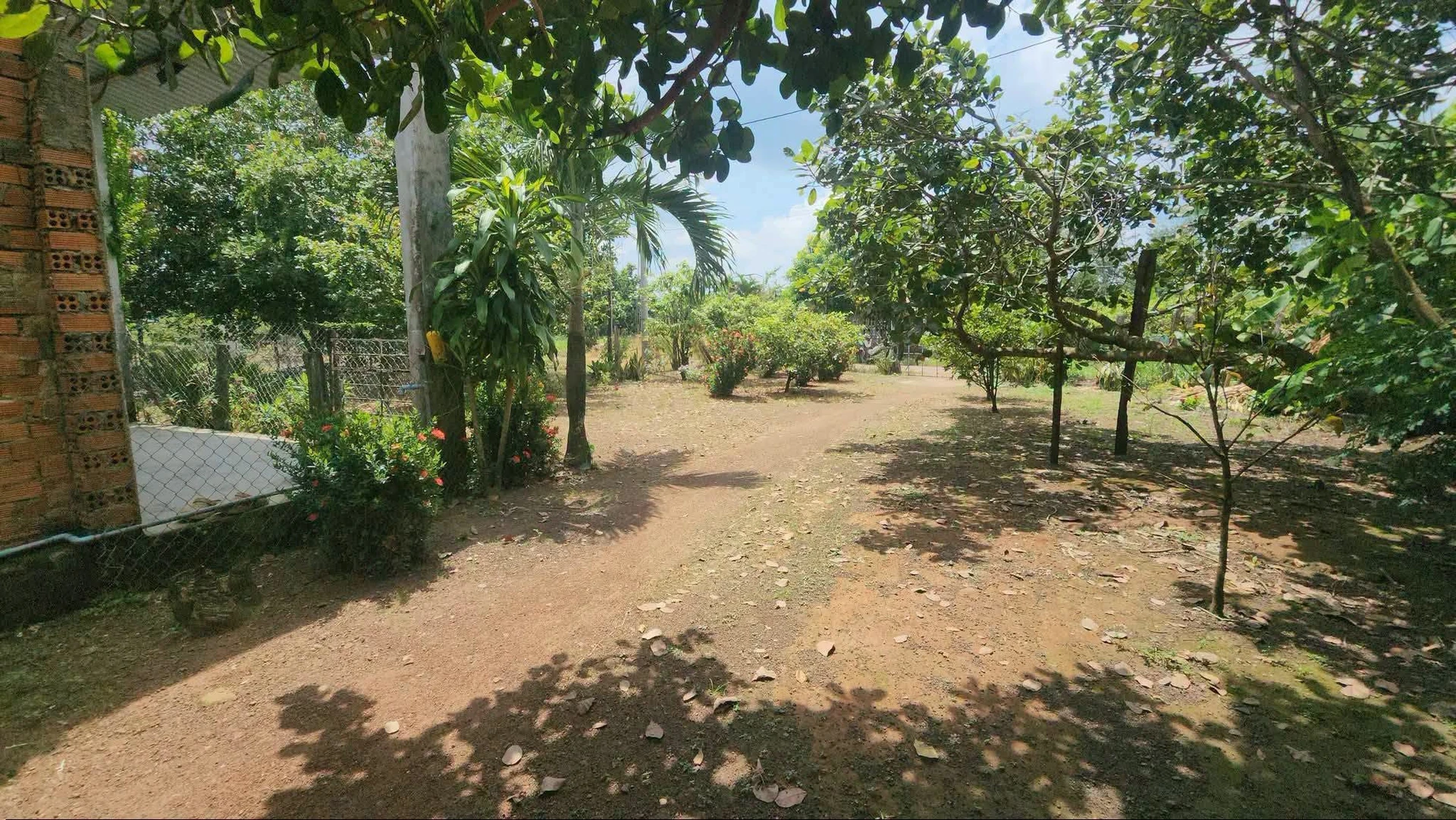 Đất thổ cư 50m² cạnh nhà xưởng, Thiện Hưng, Đồng Nai - Ảnh 1