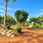Bán đất nghỉ dưỡng Lộc Đức, Bảo Lộc, 200m² thổ cư, 3,5 tỷ - Ảnh thu nhỏ 2