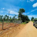 2,1 sào mặt tiền đường nhựa Vành Đai km18 nối tuyến QL14-QL26 2,73 tỷ - Ảnh thu nhỏ 7