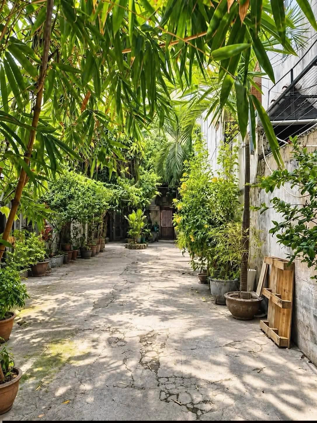 Bán nhà 3 tầng Lê Văn Sỹ Quận 3, 69,48m², 8,8 tỷ - Ảnh 1