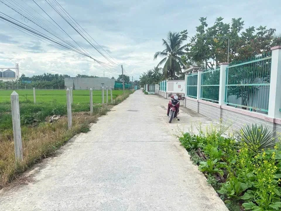 Bán đất vườn nghỉ dưỡng 1000m2 Bến Lức Long An - Ảnh thu nhỏ 5