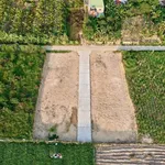 Bán đất Diên Thọ Hóc Môn 72-100m² từ 346 triệu - Ảnh thu nhỏ 5