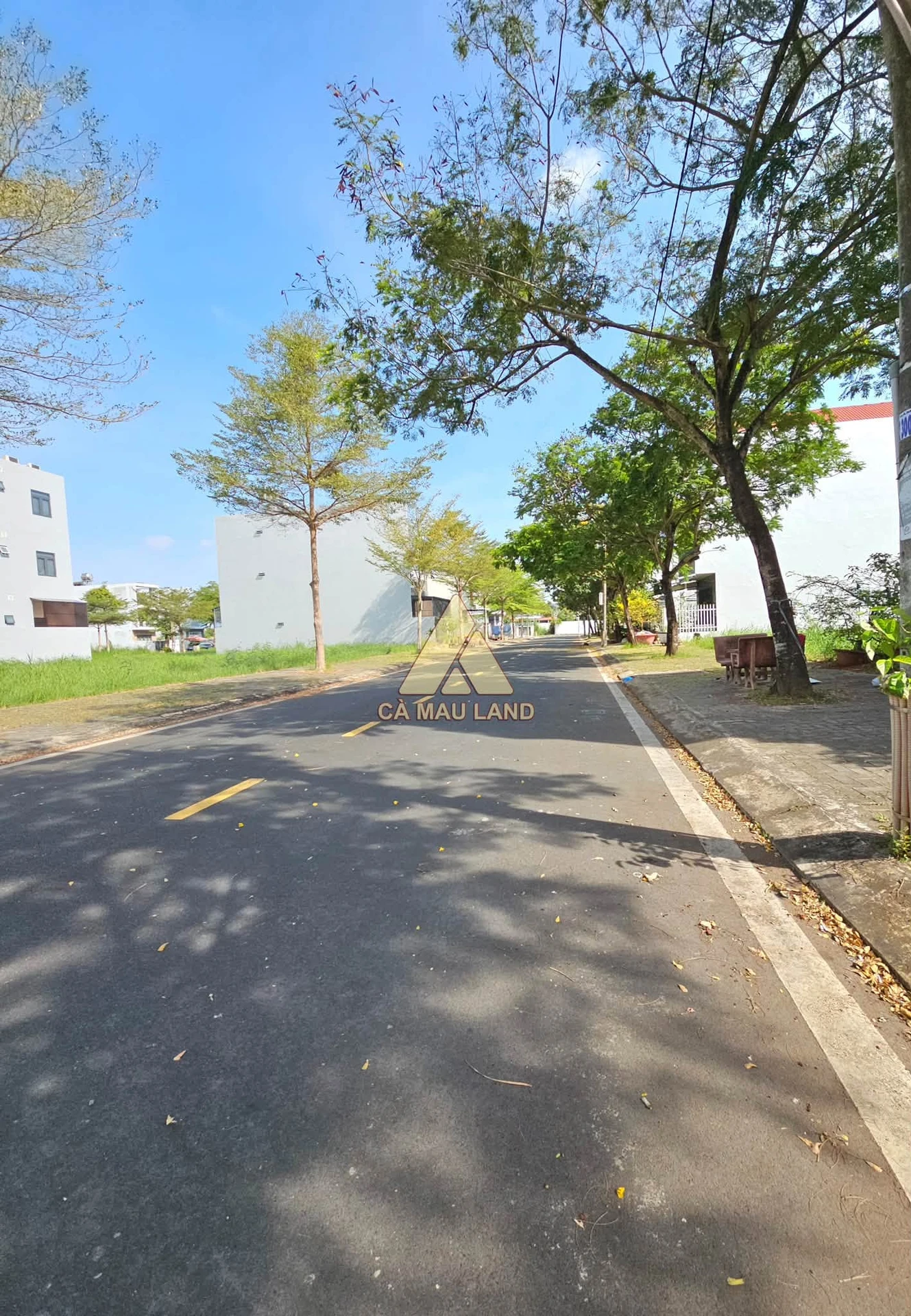 Bán nền đất 5x20m (100m2) đường số 7 khu Minh Thắng, Phường 9, Cà Mau - Ảnh 1