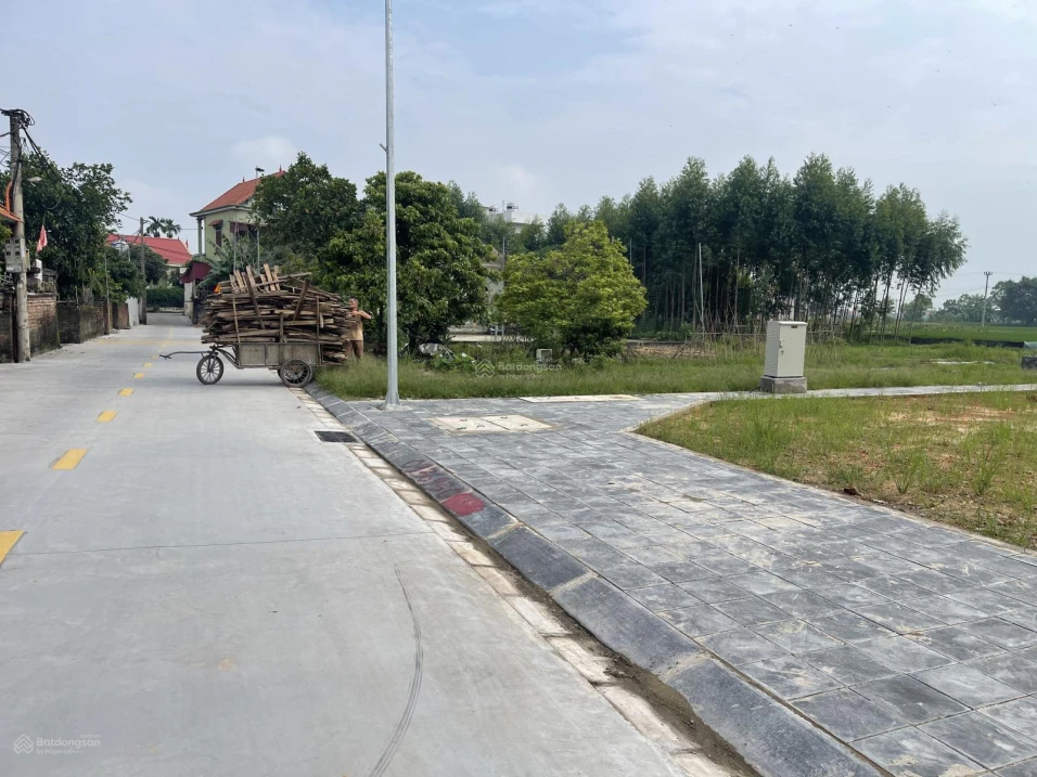 Bán đất tại Khu đấu giá, Phong nội, Bình Dân, Kim Thành cũ, 99m2 ngang 5,5m đường 5,5m giá 9,8tr/m - Ảnh thu nhỏ 5