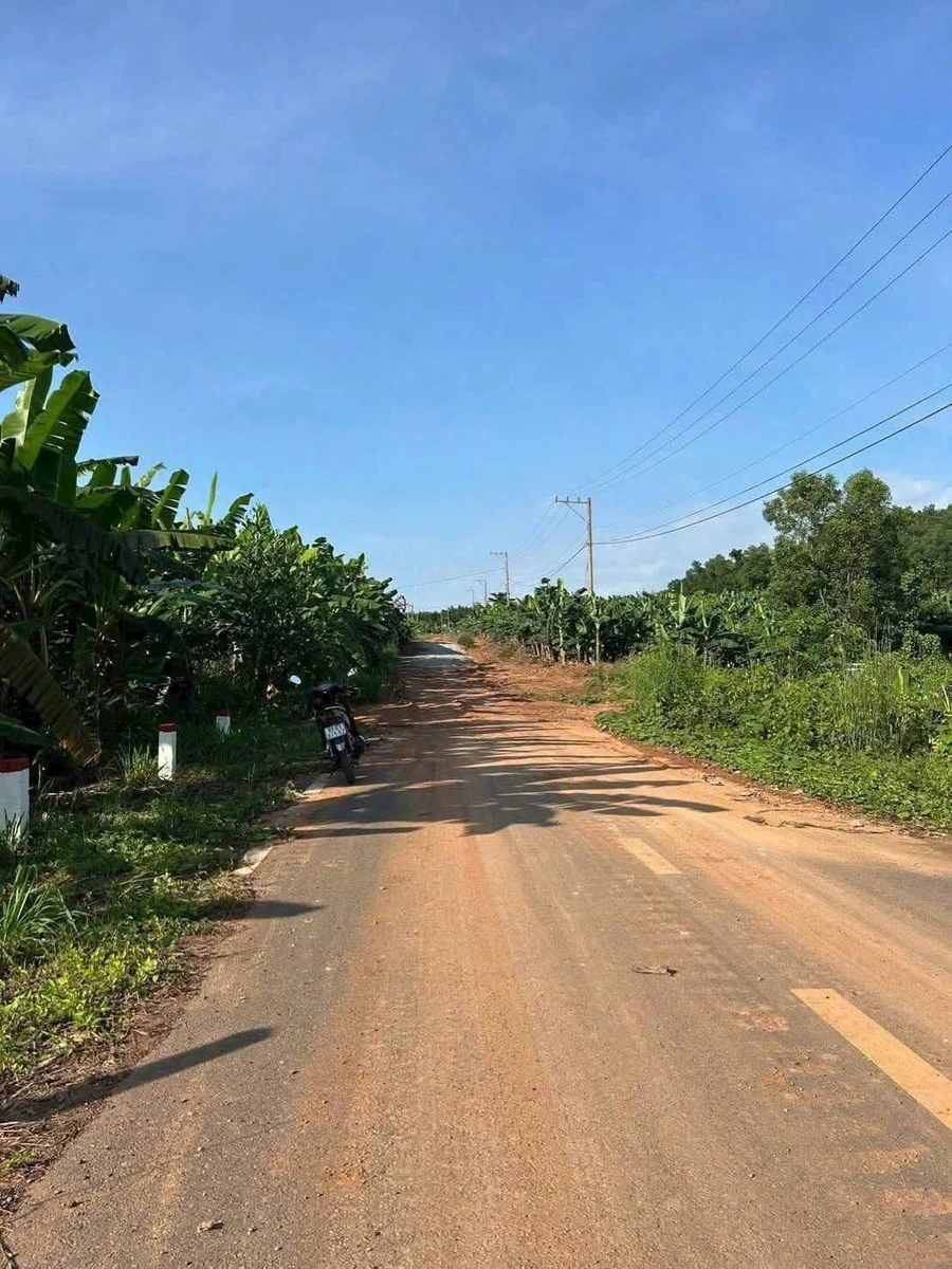 Bán 10ha đất tại Hiếu Liêm, Bắc Tân Uyên, Bình Dương - Ảnh thu nhỏ 2