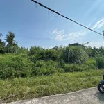 Bán đất mạo khê Nhà Bè 212m2 nhỉnh 1 tỷ - Ảnh thu nhỏ 3