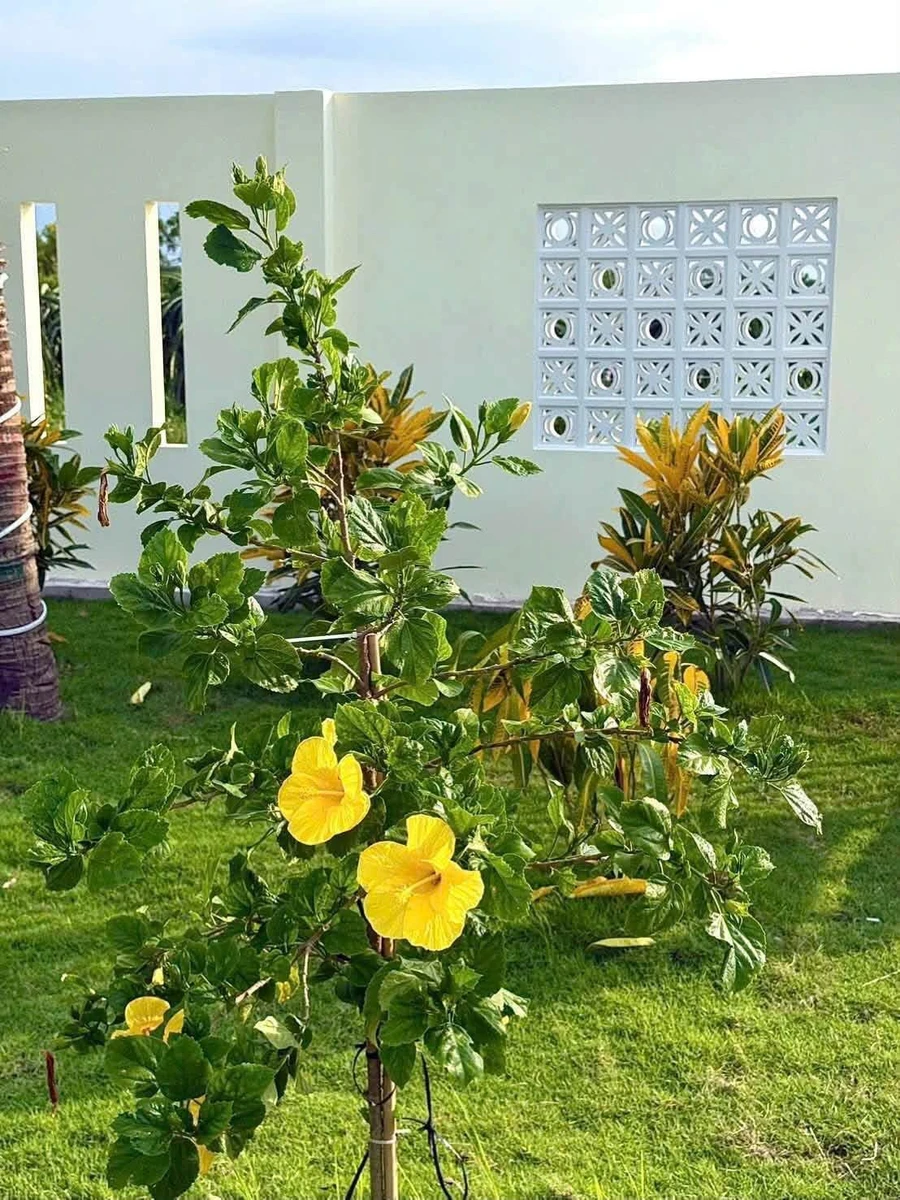 Bán vườn 1.600m² Hàm Chính Bình Thuận 1 tỷ 7 - Ảnh thu nhỏ 4