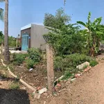 Bán đất thổ cư 98m² Phan Thiết 900 triệu - Ảnh thu nhỏ 2