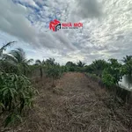 Bán đất vườn 2592m² Cà Mau 1 tỷ 890 triệu - Ảnh thu nhỏ 5