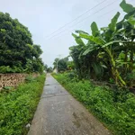 Bán đất 298m2 mặt tiền 8m Nhuận Trạch Hòa Bình - Ảnh thu nhỏ 5